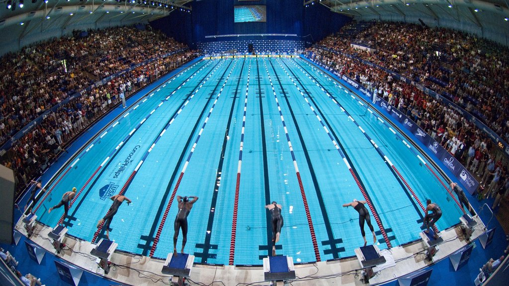 Swimmers head to U.S. for tough test | Swimming News | British Swimming