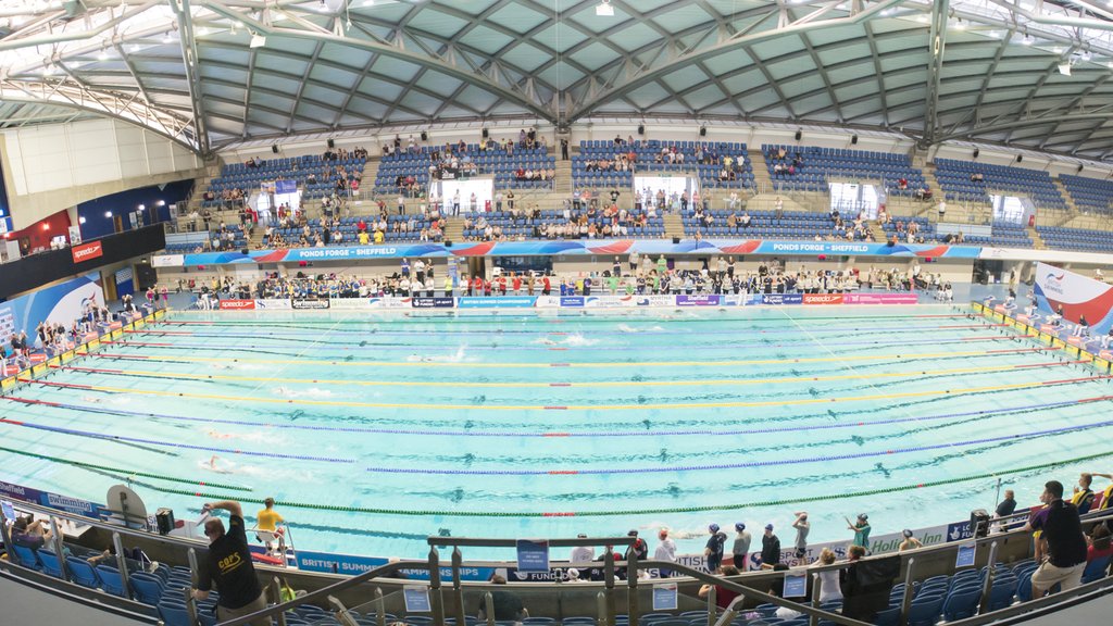 Masters world record breaking spectacle British Swimming