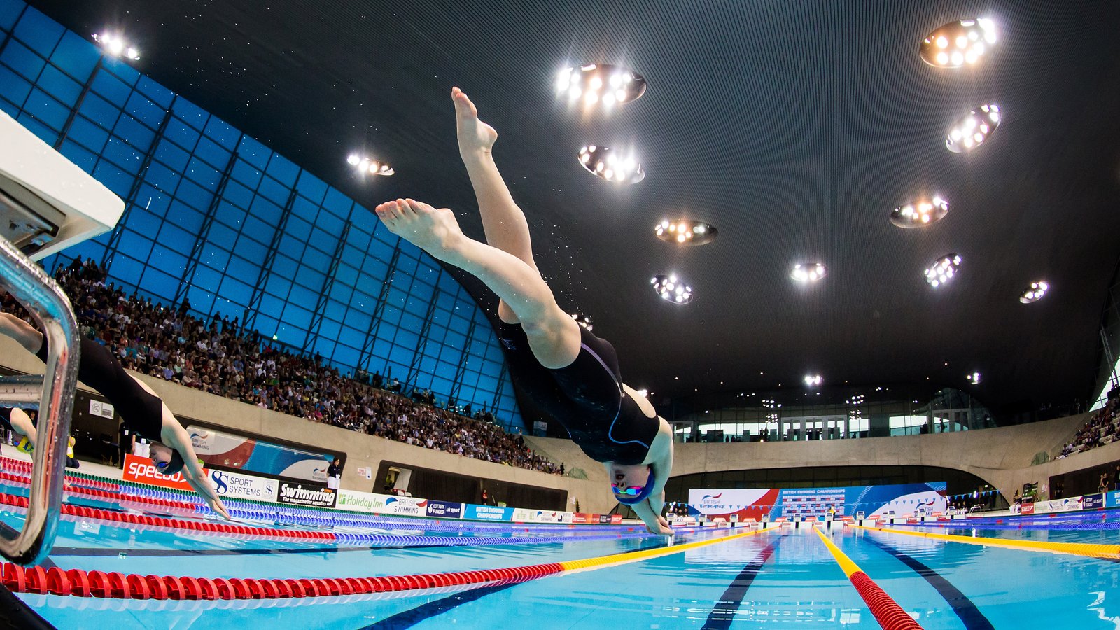 British Swimming Results British Swimming