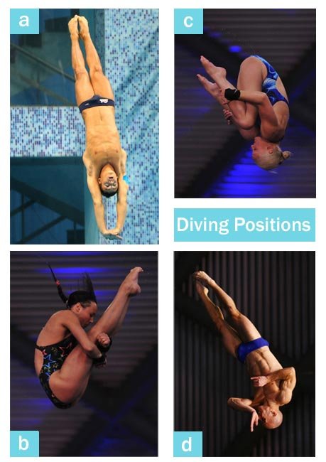 Positions de plongée
