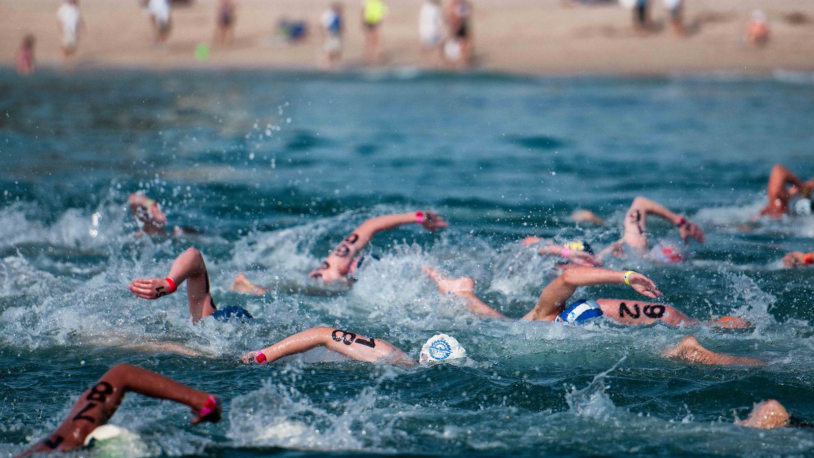 Open Water swimmers eye up Eilat | Swimming News | British Swimming